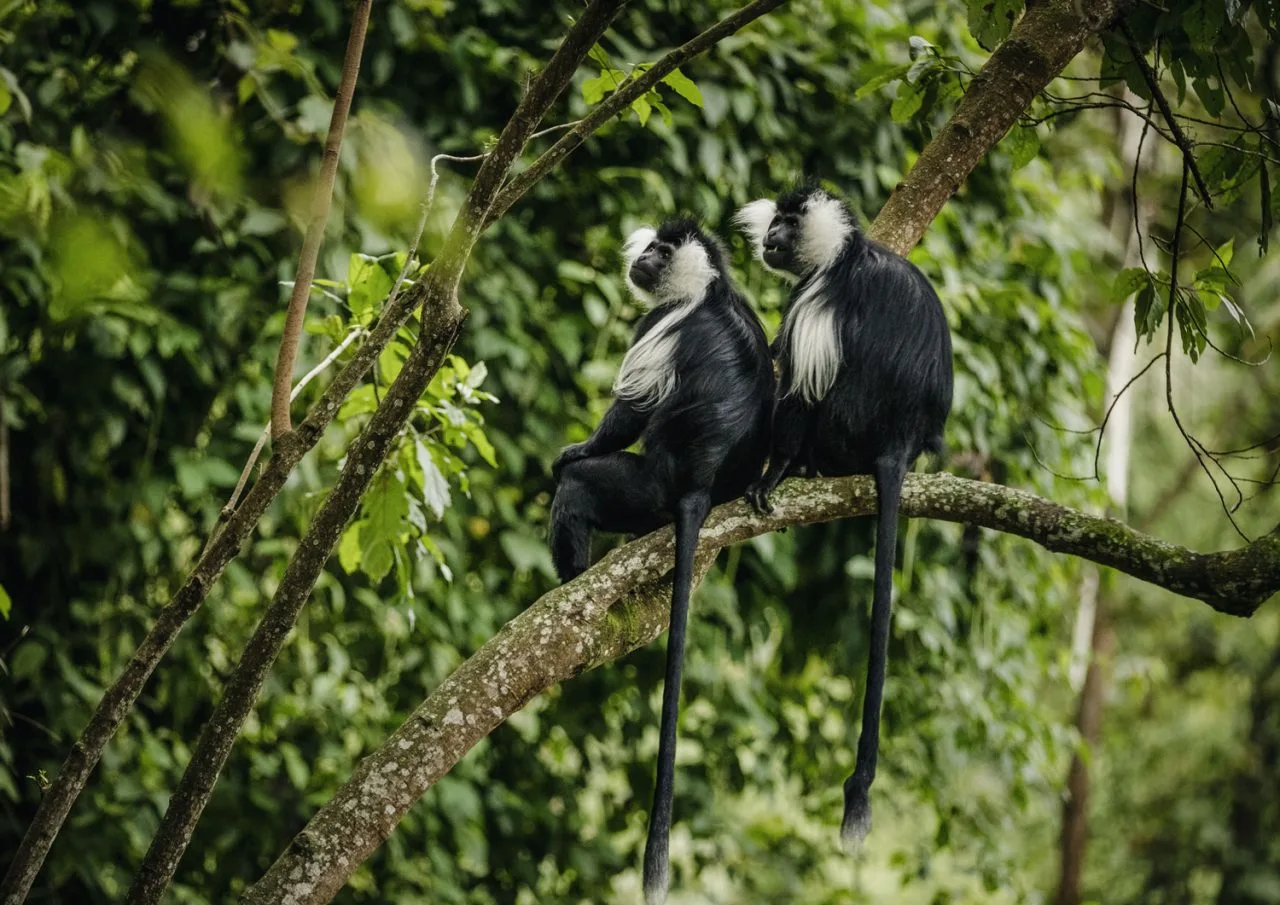 Rwanda