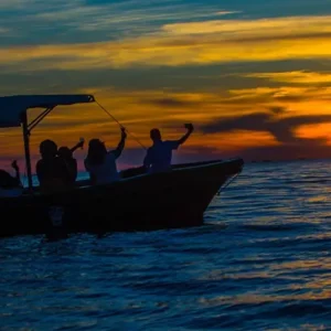 Lake Victoria Sunset Boat Safari & Entebbe Equator Crossing