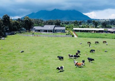Farmhouse Rwanda | Luxury Stay Near Volcanoes NP