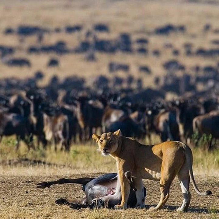 Kenya