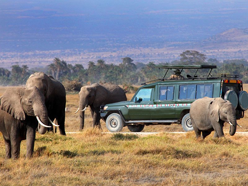 8 Days Kenya and Tanzania Safari Holiday