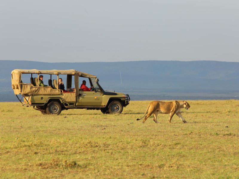 Game drive in uganda