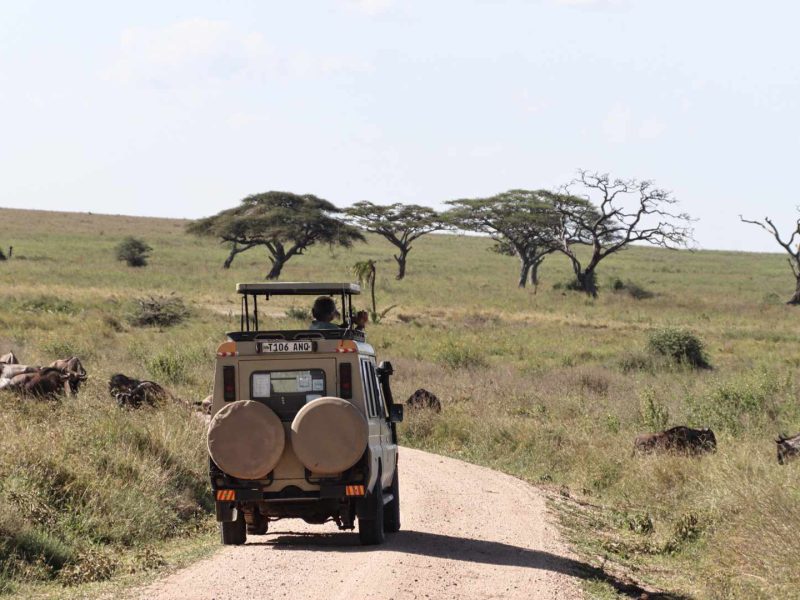 Serengeti national park