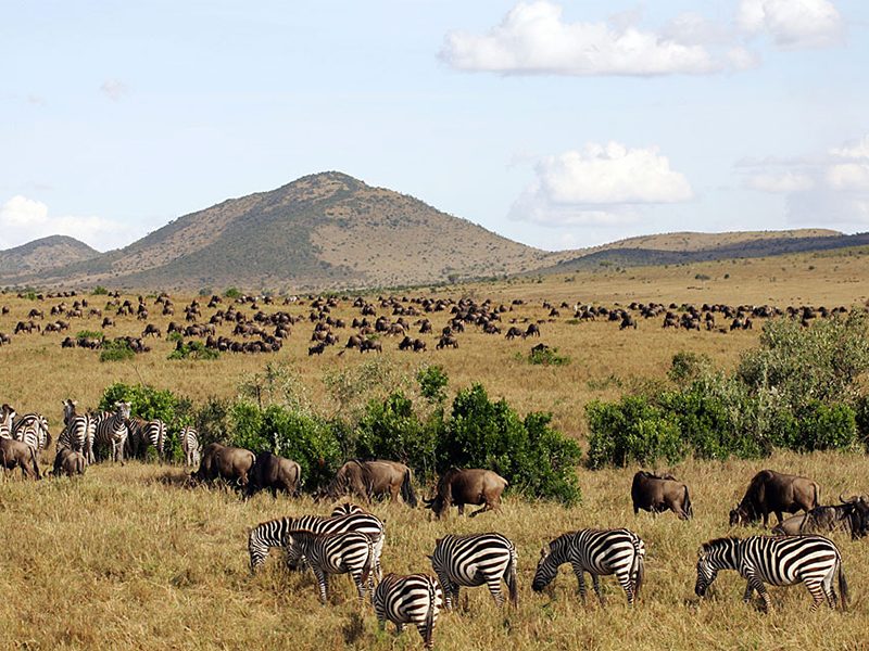 No journey to the Masai Mara would be complete without an authentic cultural experience that gets you up close and personal with the fascinating Maasai people