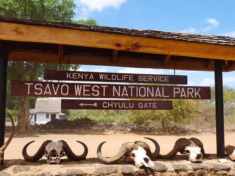 The park forms the largest protected area in Kenya and is home to most of the larger mammals, vast herds of dust –red elephant, Rhino, buffalo, lion, leopard,